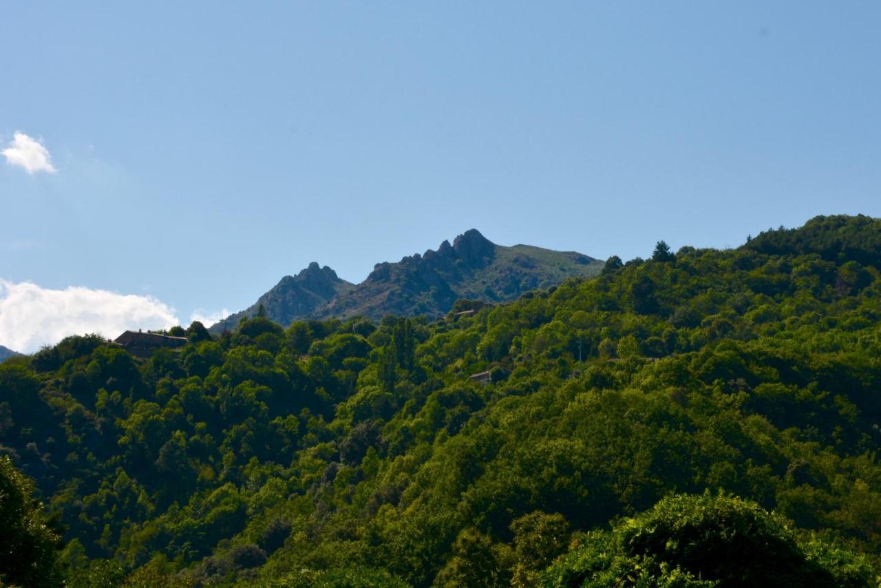La Maison De Laligier Jaujac Bagian luar foto
